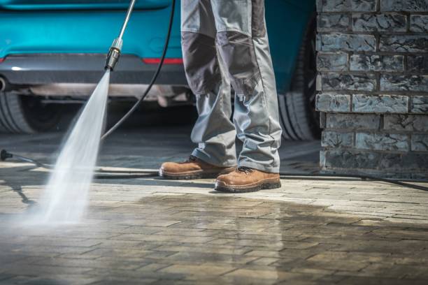 Best Building Exterior Washing  in Shorewood Forest, IN